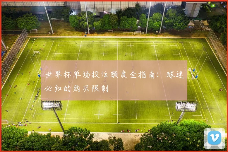 世界杯单场投注额度全指南:球迷必知的购买限制