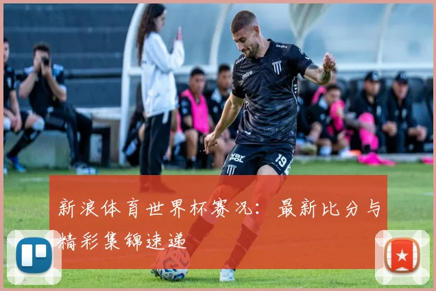 新浪体育世界杯赛况：最新比分与精彩集锦速递